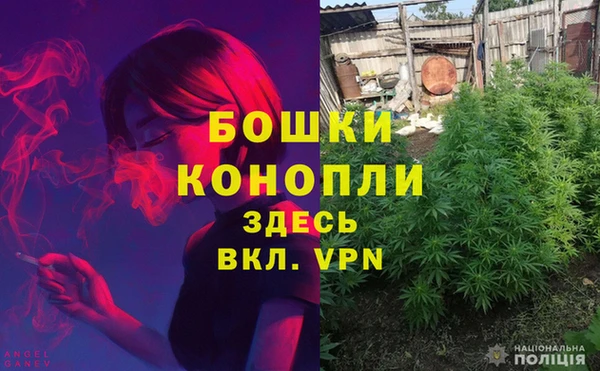 трава Вязьма
