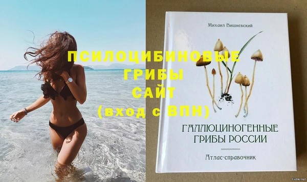 гашик Верхнеуральск